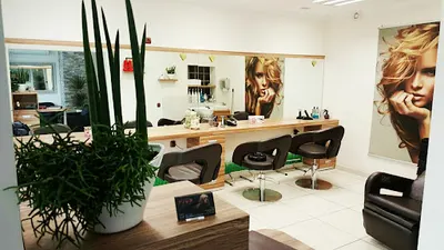 Viva. Studio fryzur. Mamak A.